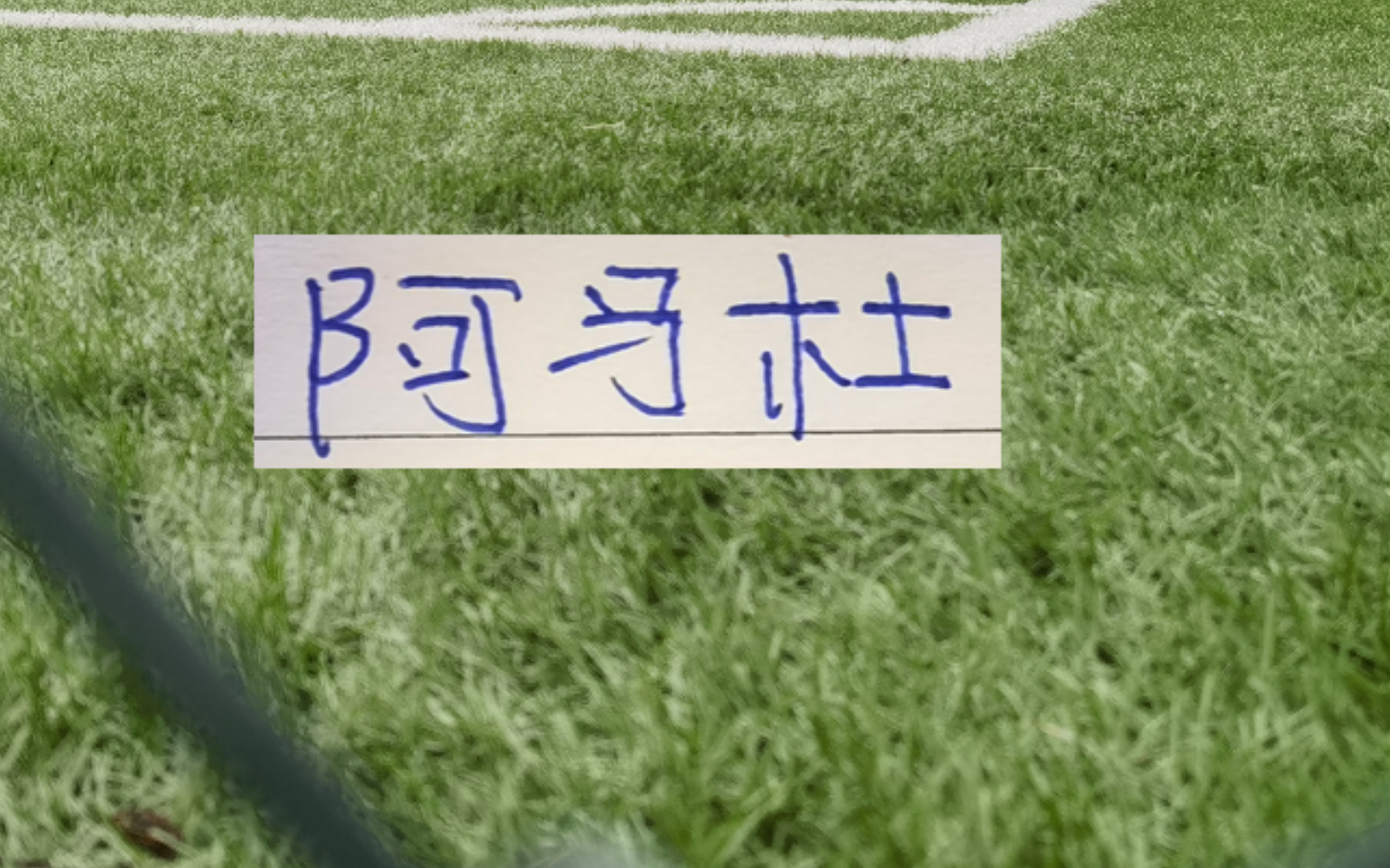 永利yl23411-第一轮外援中场大腿 没想到前申花外援阿马杜回春了！